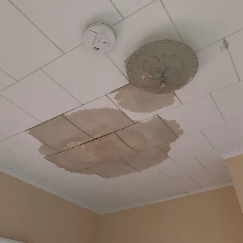 Ceiling Water Damage Repair in Clinton, OH