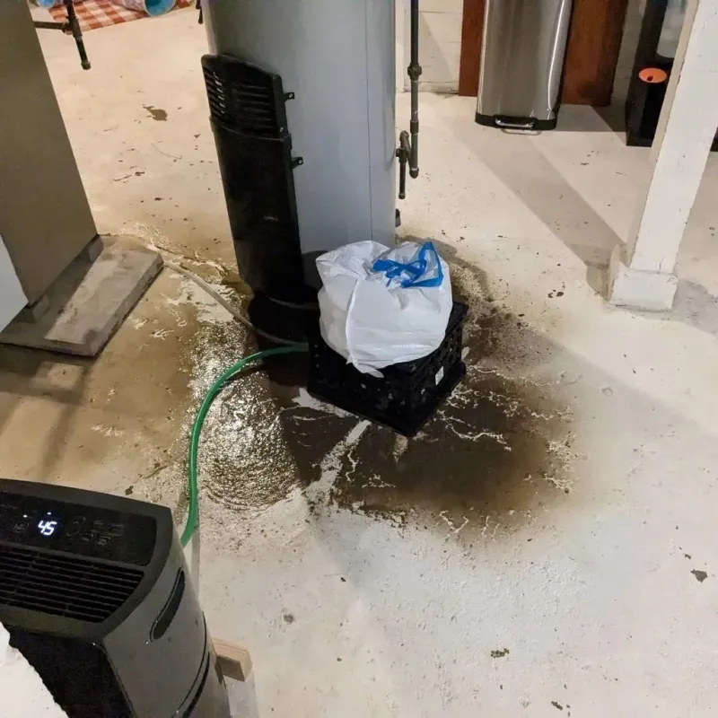 Sewage Backup Cleanup Service in Clinton, OH